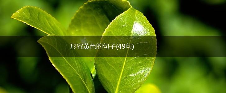 形容黄色的句子(49句),第1张