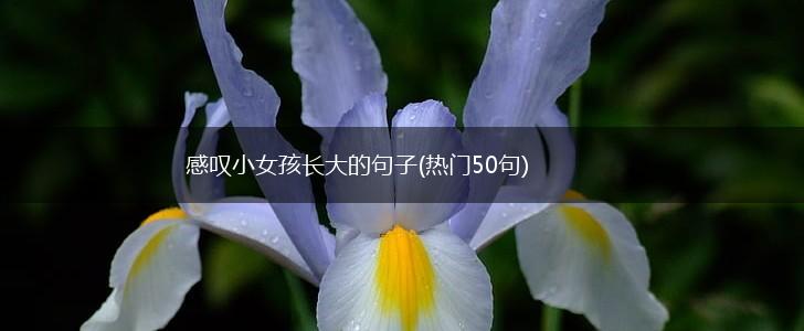 感叹小女孩长大的句子(热门50句),第1张