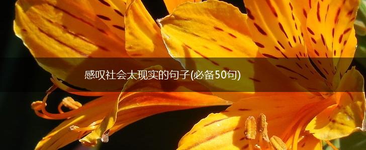 感叹社会太现实的句子(必备50句),第1张