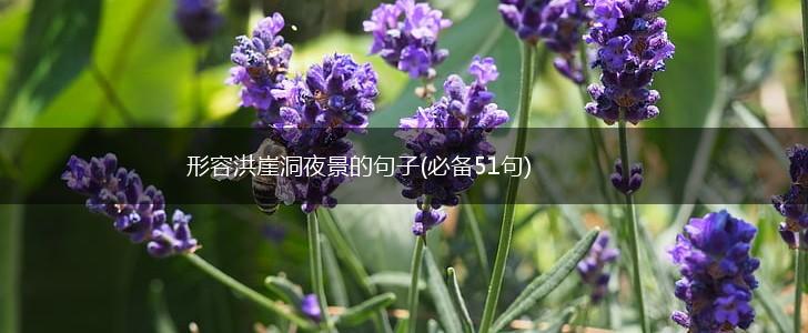 形容洪崖洞夜景的句子(必备51句),第1张