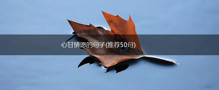 心甘情愿的句子(推荐50句),第1张