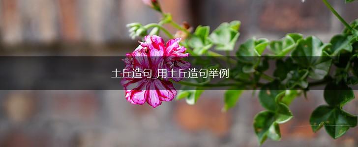 土丘造句_用土丘造句举例,第1张 土丘造句_用土丘造句举例,第1张