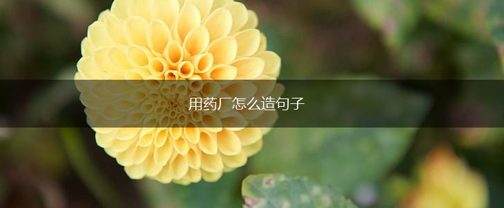 用药厂怎么造句子,第1张 用药厂怎么造句子,第1张