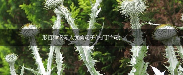 形容弹钢琴人优美句子(热门11句),第1张