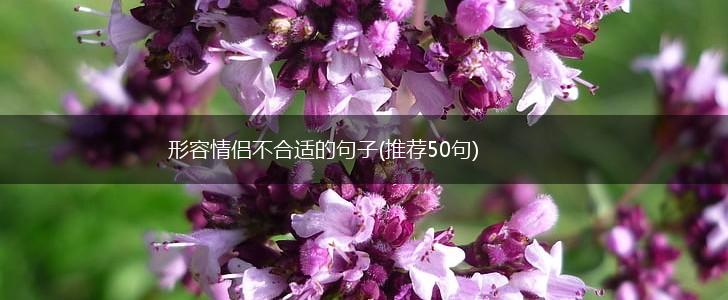 形容情侣不合适的句子(推荐50句),第1张