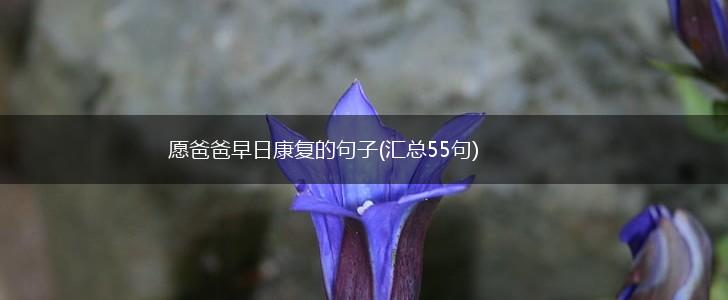 愿爸爸早日康复的句子(汇总55句),第1张