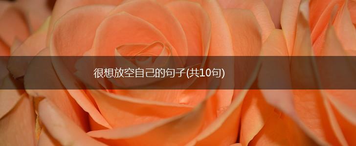 很想放空自己的句子(共10句),第1张