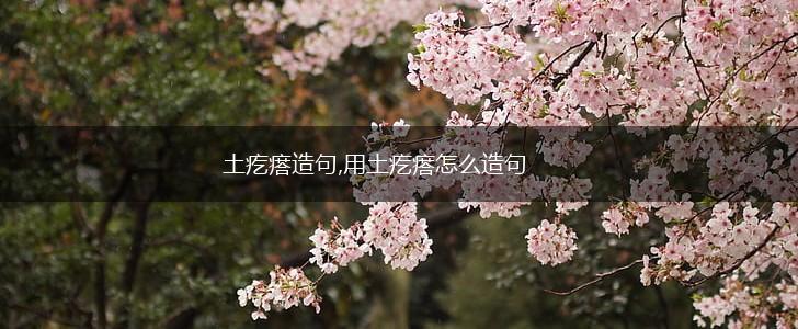 土疙瘩造句,用土疙瘩怎么造句,第1张 土疙瘩造句,用土疙瘩怎么造句,第1张