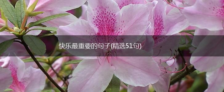 快乐最重要的句子(精选51句),第1张