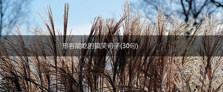 形容能吃的搞笑句子(30句),第1张