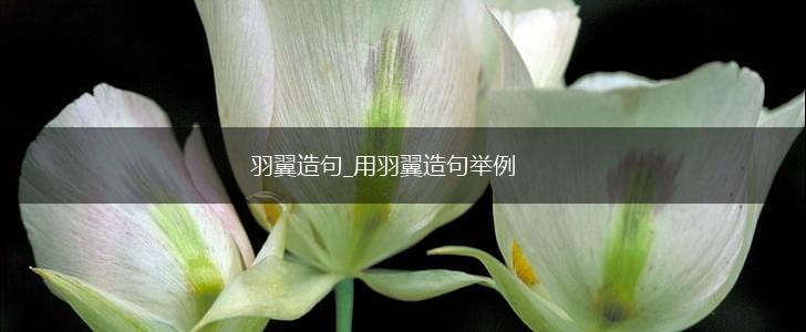 羽翼造句_用羽翼造句举例,第1张 羽翼造句_用羽翼造句举例,第1张