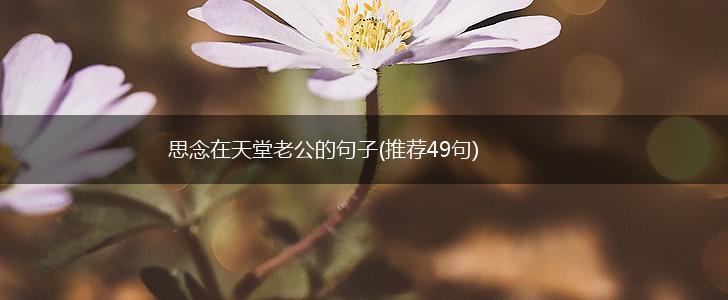 思念在天堂老公的句子(推荐49句),第1张