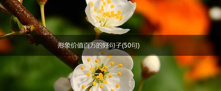 形象价值百万的好句子(50句),第1张