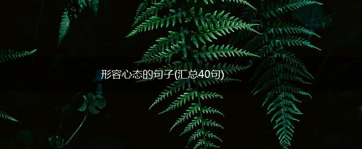 形容心态的句子(汇总40句),第1张