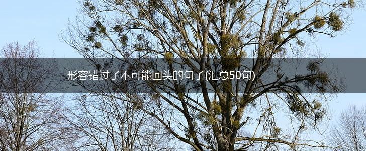 形容错过了不可能回头的句子(汇总50句),第1张