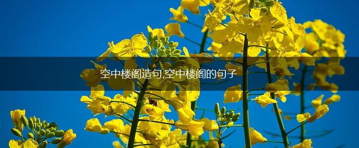 空中楼阁造句,空中楼阁的句子,第1张 空中楼阁造句,空中楼阁的句子,第1张