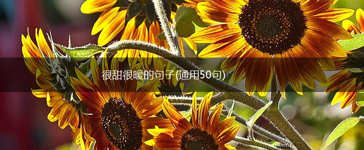 很甜很暖的句子(通用50句),第1张