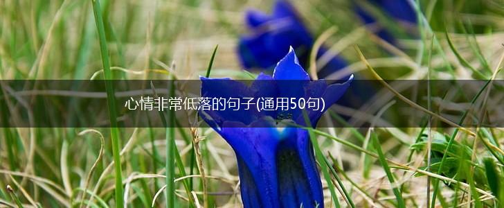 心情非常低落的句子(通用50句),第1张