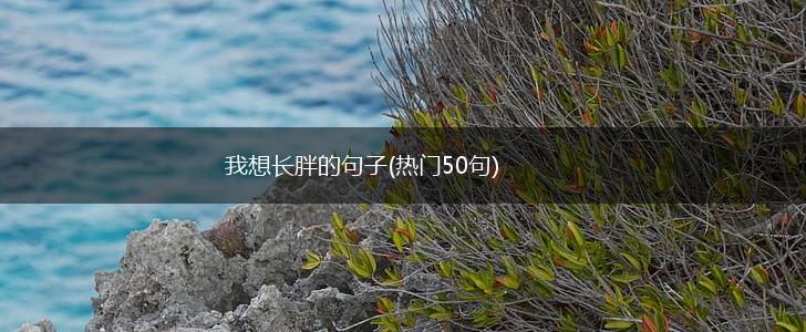 我想长胖的句子(热门50句),第1张