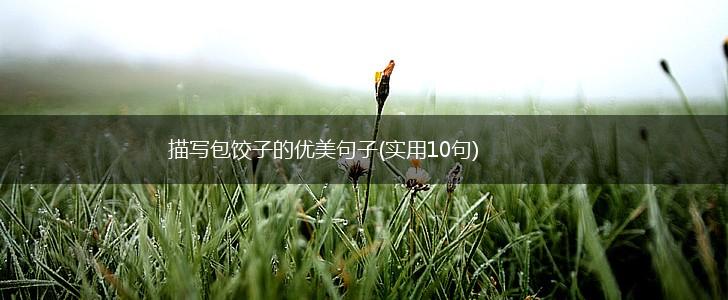 描写包饺子的优美句子(实用10句),第1张