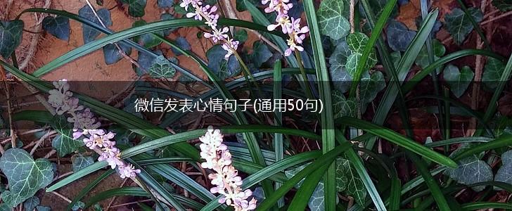 微信发表心情句子(通用50句),第1张