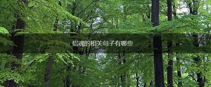 招魂的相关句子有哪些,第1张 招魂的相关句子有哪些,第1张