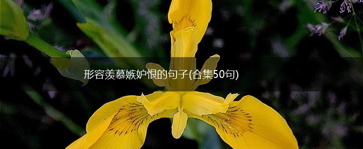 形容羡慕嫉妒恨的句子(合集50句),第1张