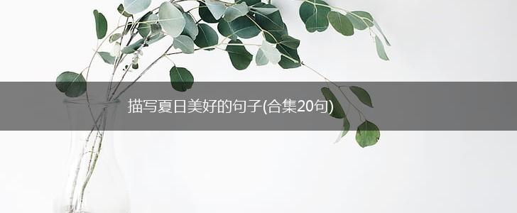 描写夏日美好的句子(合集20句),第1张