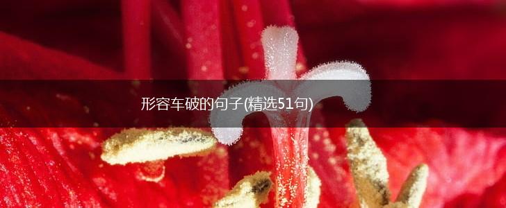形容车破的句子(精选51句),第1张