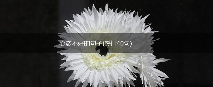 心态不好的句子(热门40句),第1张