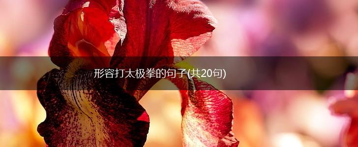 形容打太极拳的句子(共20句),第1张
