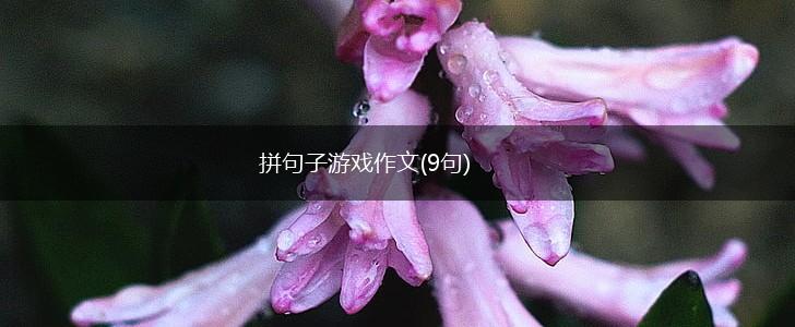 拼句子游戏作文(9句),第1张