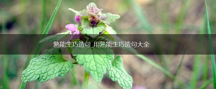 熟能生巧造句_用熟能生巧造句大全,第1张 熟能生巧造句_用熟能生巧造句大全,第1张