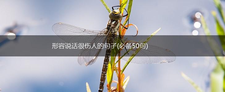 形容说话很伤人的句子(必备50句),第1张