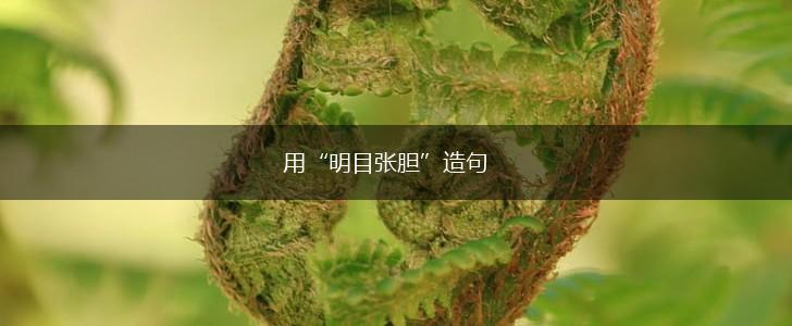 用“明目张胆”造句,第1张 用“明目张胆”造句,第1张
