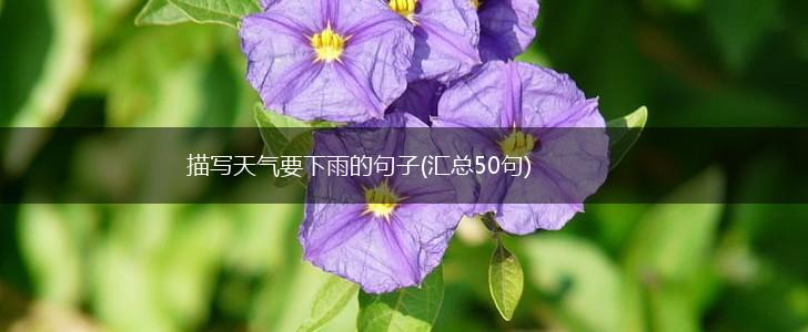 描写天气要下雨的句子(汇总50句),第1张