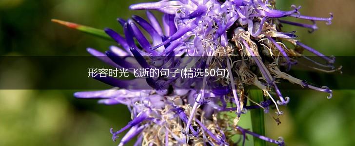 形容时光飞逝的句子(精选50句),第1张