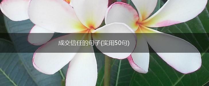 成交信任的句子(实用50句),第1张