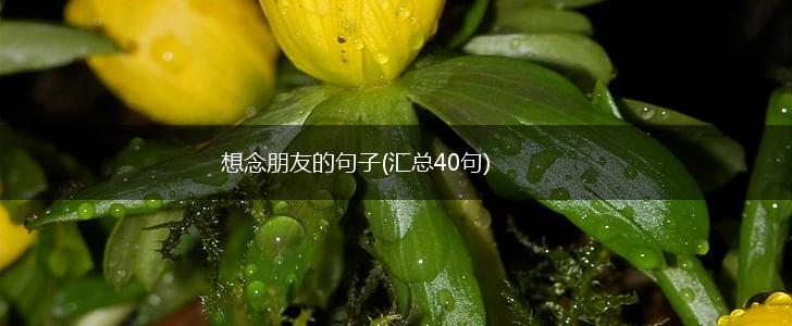 想念朋友的句子(汇总40句),第1张