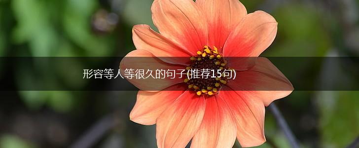 形容等人等很久的句子(推荐15句),第1张