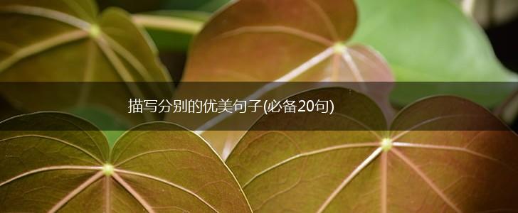 描写分别的优美句子(必备20句),第1张