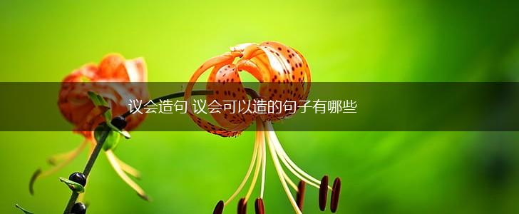 议会造句 议会可以造的句子有哪些,第1张 议会造句 议会可以造的句子有哪些,第1张