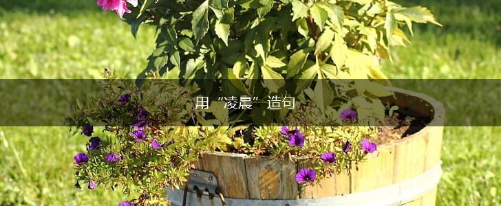 用“凌晨”造句,第1张 用“凌晨”造句,第1张
