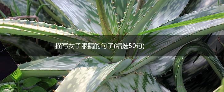 描写女子眼睛的句子(精选50句),第1张