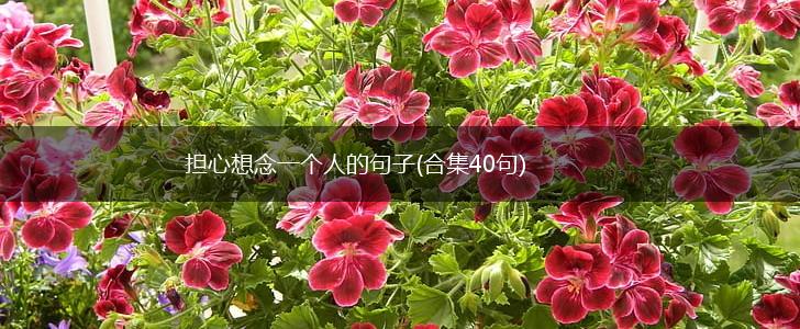 担心想念一个人的句子(合集40句),第1张