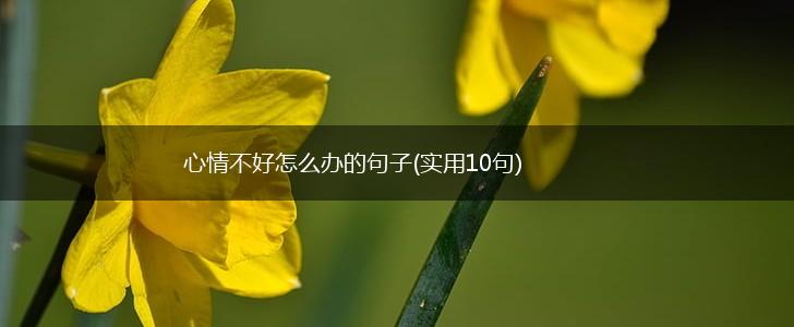 心情不好怎么办的句子(实用10句),第1张