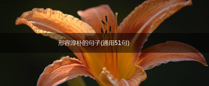 形容淳朴的句子(通用51句),第1张