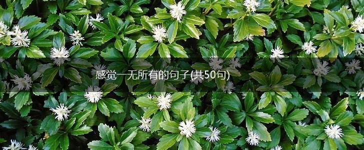 感觉一无所有的句子(共50句),第1张