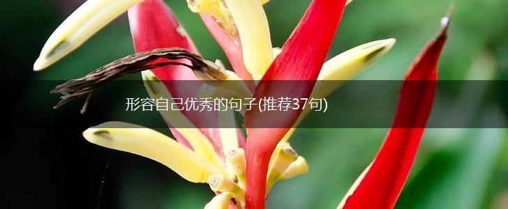 形容自己优秀的句子(推荐37句),第1张