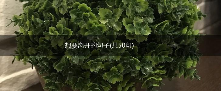 想要离开的句子(共50句),第1张